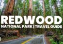 REDWOOD NATIONAL PARK Travel Guide