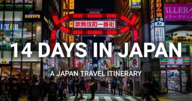 How to Spend 14 Days in Japan  – A Japan Travel Itinerary