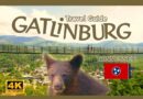 Gatlinburg Travel Guide – A Smoky Mountain Getaway