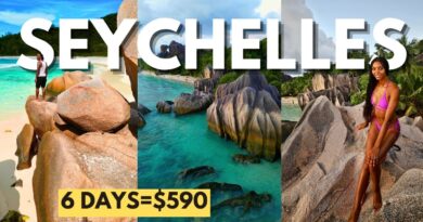 We Found the BEST BEACHES in the World! Seychelles Travel Guide 2024