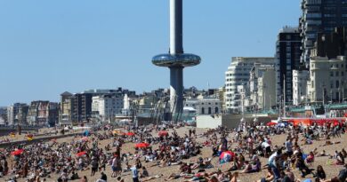 Brighton seaside tourist attraction files for insolvency amid £51m debt