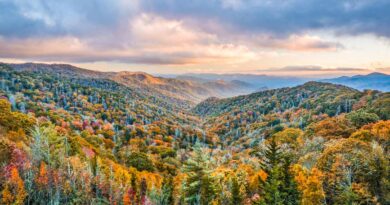 Where to Stay in Smoky Mountains, TN – 6 TOP Spots in 2024