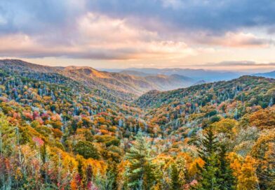 Where to Stay in Smoky Mountains, TN – 6 TOP Spots in 2024