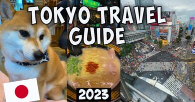 TOKYO TRAVEL GUIDE – You MUST Visit These Places in Tokyo, Japan in 2023