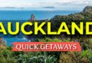 TOP 10 Day Trips from Auckland | New Zealand Travel Guide