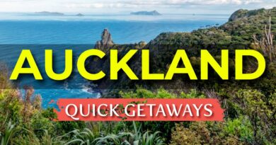 TOP 10 Day Trips from Auckland | New Zealand Travel Guide